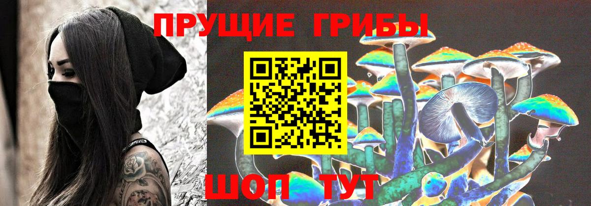 Псилоцибиновые грибы Psilocybe  Вход с VPN  Клинцы 
