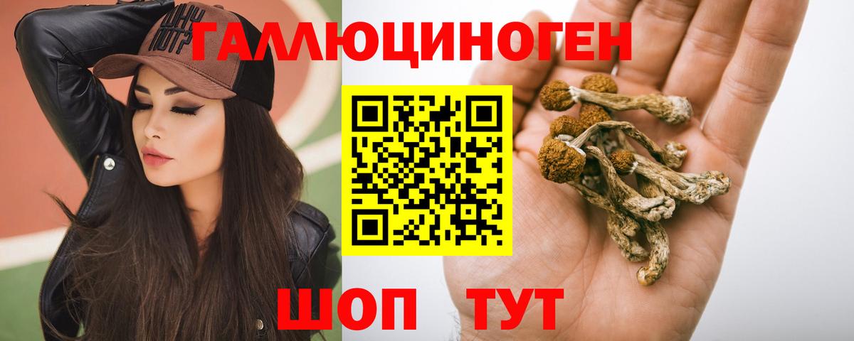 Галлюциногенные грибы Magic Shrooms Клинцы