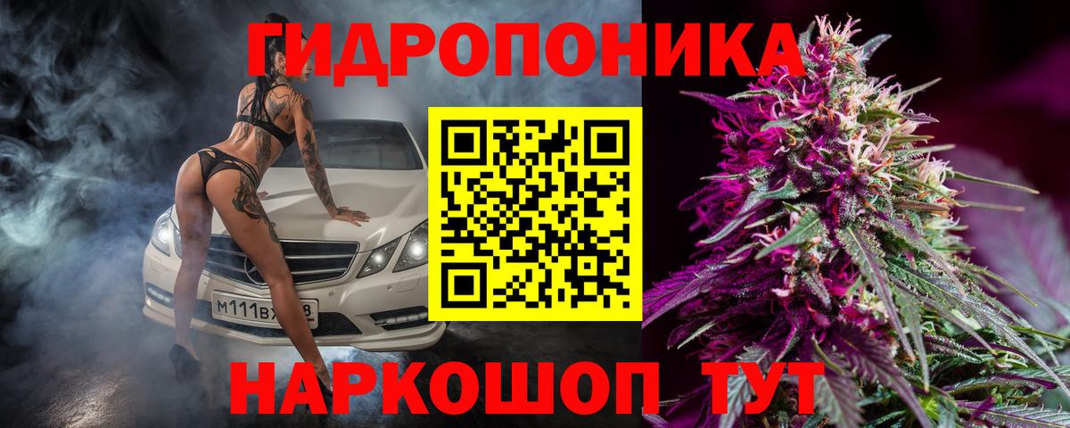 Конопля SATIVA & INDICA  Канабис White Widow  Вход с VPN  Шишки марихуана VHQ  Клинцы 