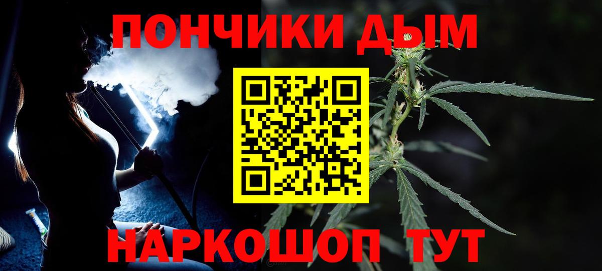 Бошки Шишки план Клинцы